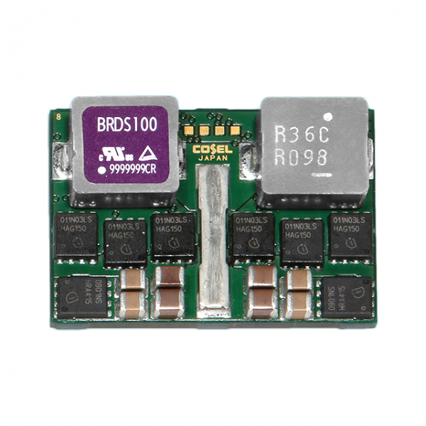 BRDS100-R P1