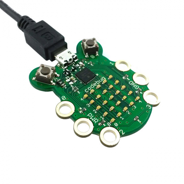 CODEBUG P1